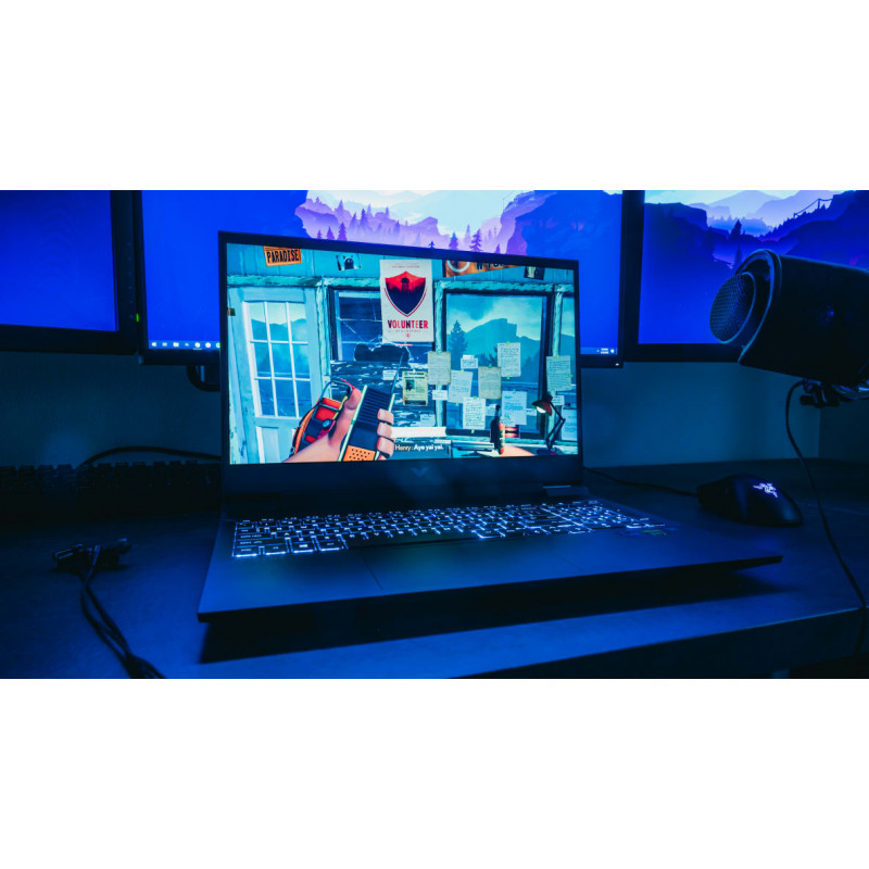 Pc Portable Gamer Hp Victus 15-fb0020NK Ryzen5 5600H 8Go 512Go RTX3050 4G - Gris